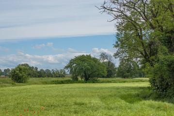 Obraz premium terreno agricolo