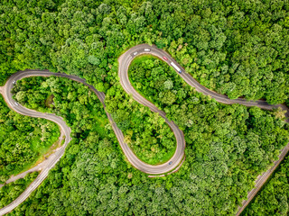Cars on winding road trough the forest aerial view