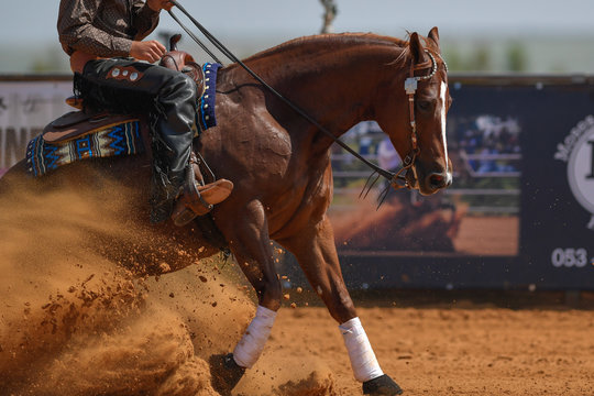 The side view of a rider in jeans, cowboy chaps and checkered shirt on a reining horse slides to a stop in the red clay an arena.