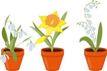 Spring flowers growing in the pods. Vector Illustration.