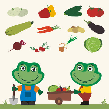 Set of isolated vegetables: squash, peppers, cucumbers, tomatoes, zucchini, carrots, potatoes, eggplant, beet, radishes, cabbage, onion. Two funny frogs farmers.