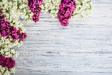 green on a wooden background
