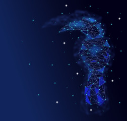 Low poly Blue Hornbill bird with Galaxy background,animal geometric,Abstract vector.  © Sarun