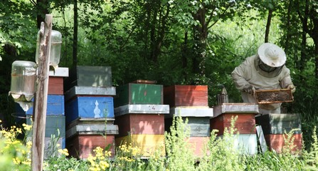 a man from the countryside working on the preparation for the upcoming season bee honey production