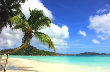 Plakat plages paradisiaques des Seychelles