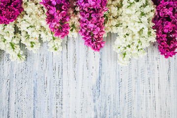 green on a wooden background