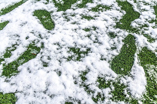 Snow In The Spring On An Artificial Lawn