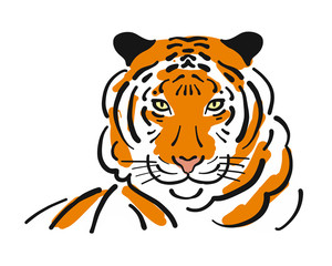 Tiger, sketch for your design