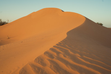 Fototapeta na wymiar Desert Afrika hot