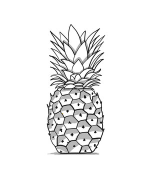 Pineapple, sketch for your design