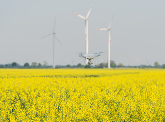 Rapsfeld und Windkraftanlagen 