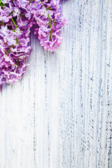 green on a wooden background