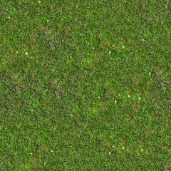 Green Grass. Seamless Tileable Texture.