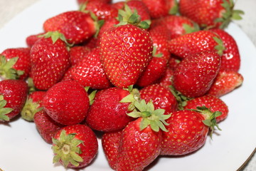 Red juicy tasty strawberry