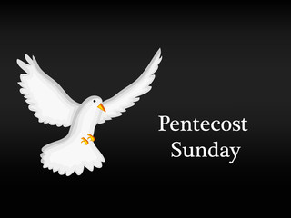 illustration of elements of Pentecost Sunday background
