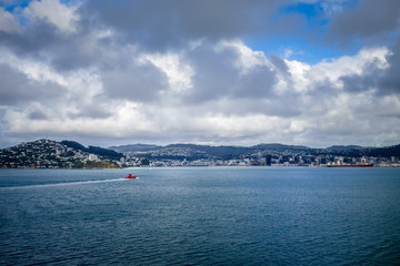 Wellington city view from the sea, New Zealand © daboost