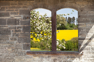 Ausblick durch ein Fenster in einer alten Steinmauer auf Rapsfeld und blühenden Apfelbaum