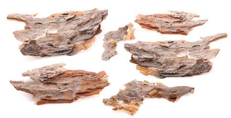 Pieces of pine bark isolated on white © msk.nina