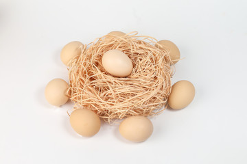 Egg on nest in circle of eggs on white background
