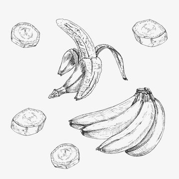Hand drawn set of banana. Retro sketches isolated. Vector illustration