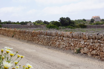 Pairies fleuries et murets en pierre à Minorque, île paradisiaque des Baléares, Espagne