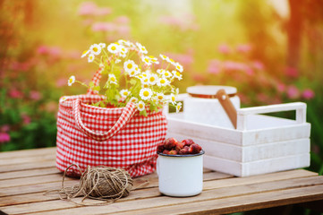 Fototapeta na wymiar june or july garden scene with fresh picked organic wild strawberry and chamomile flowers on wooden table outdoor. Summertime still life, healthy country living on farm concept