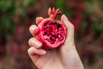 ripe pomegranate in hand...