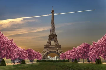 Tuinposter Eiffeltoren van Camps of Mars bij zonsondergang © Alfredo