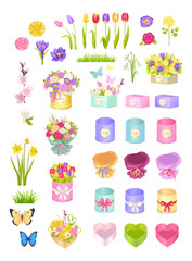 Boxes and Flowers, Collection Vector Illustration