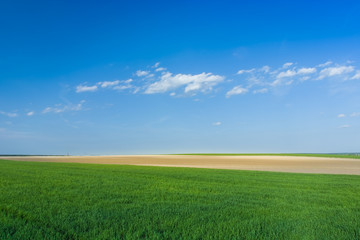 Green field and blue sky