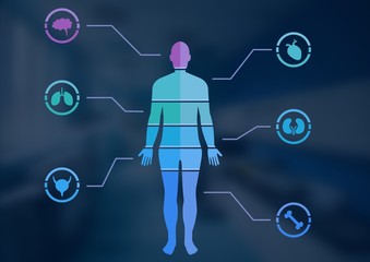 Human Body Chart and blue background
