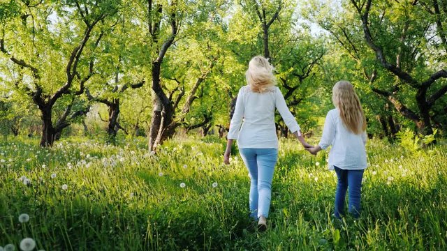 Mom and daughter are walking in the apple garden, enjoying the warm spring day