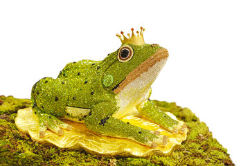 elegant designed diamond in frog on white background, the frog prince