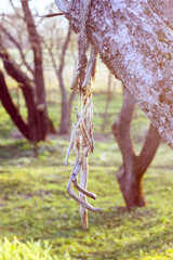 Wooden stick decor hanging on apple tree in summer park.