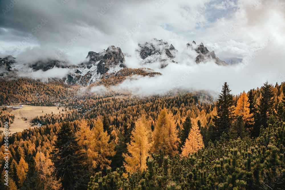 Wall mural great view of the yellow larches. national park tre cime di lavaredo, dolomiti alp, tyrol, italy.