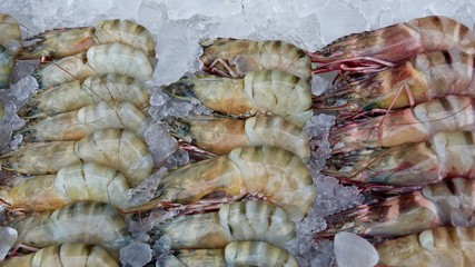 Frischer Fang des Tages, Fisch und Meerestiere auf Markt