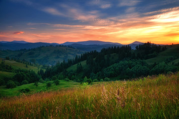 Naklejka na ściany i meble Tranquil view of alpine valley in twilight. Location place Carpathian, Ukraine, Europe.