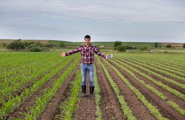 Farmer with tablet on field in spring © Budimir Jevtic