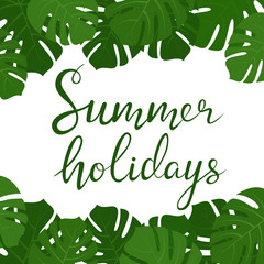 Tropical monstera leaves frame for summer flyer