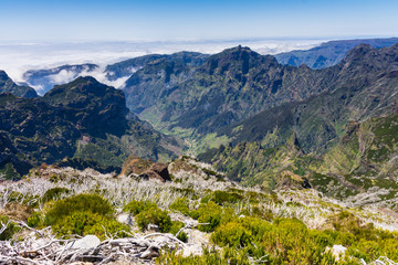 Fototapeta na wymiar Trekking at the highest mountain of Madeira, Pico Ruivo, Portugal