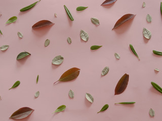 Leaves pattern on pink background