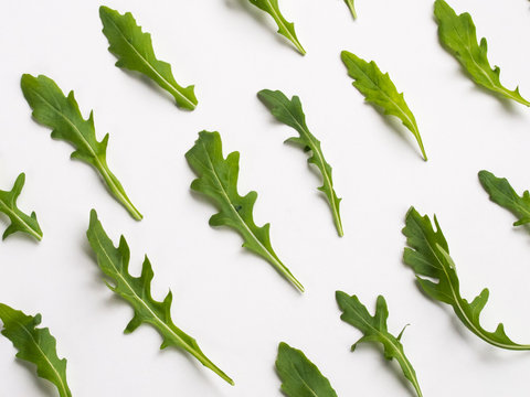 Arugula pattern on white background