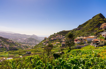 Fototapeta na wymiar View of Camara de Lobos town near Funchal, Madeira, Portugal