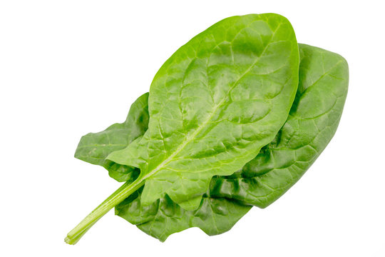Spinach leaves close up isolated on white background with clipping path.