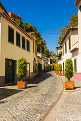 View of Camara de Lobos town near Funchal, Madeira, Portugal