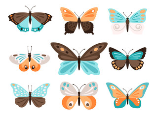 Fototapeta na wymiar Colorful butterflies with blue orange wings