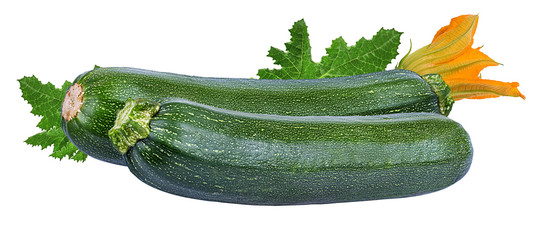 Fresh green zucchin with leaf and flower isolated on white background with clipping path