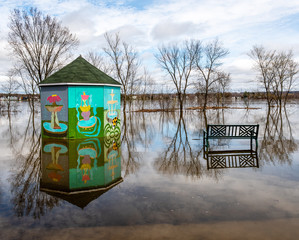 The Flooded Fredericton Green