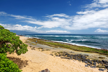 Famous Hookipa beach, popular surfing spot filled with a white sand beach, picnic areas and pavilions. Maui, Hawaii