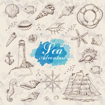 Isolated sea objects. Shells, starfish, anchor, lighthouse, fish, ship